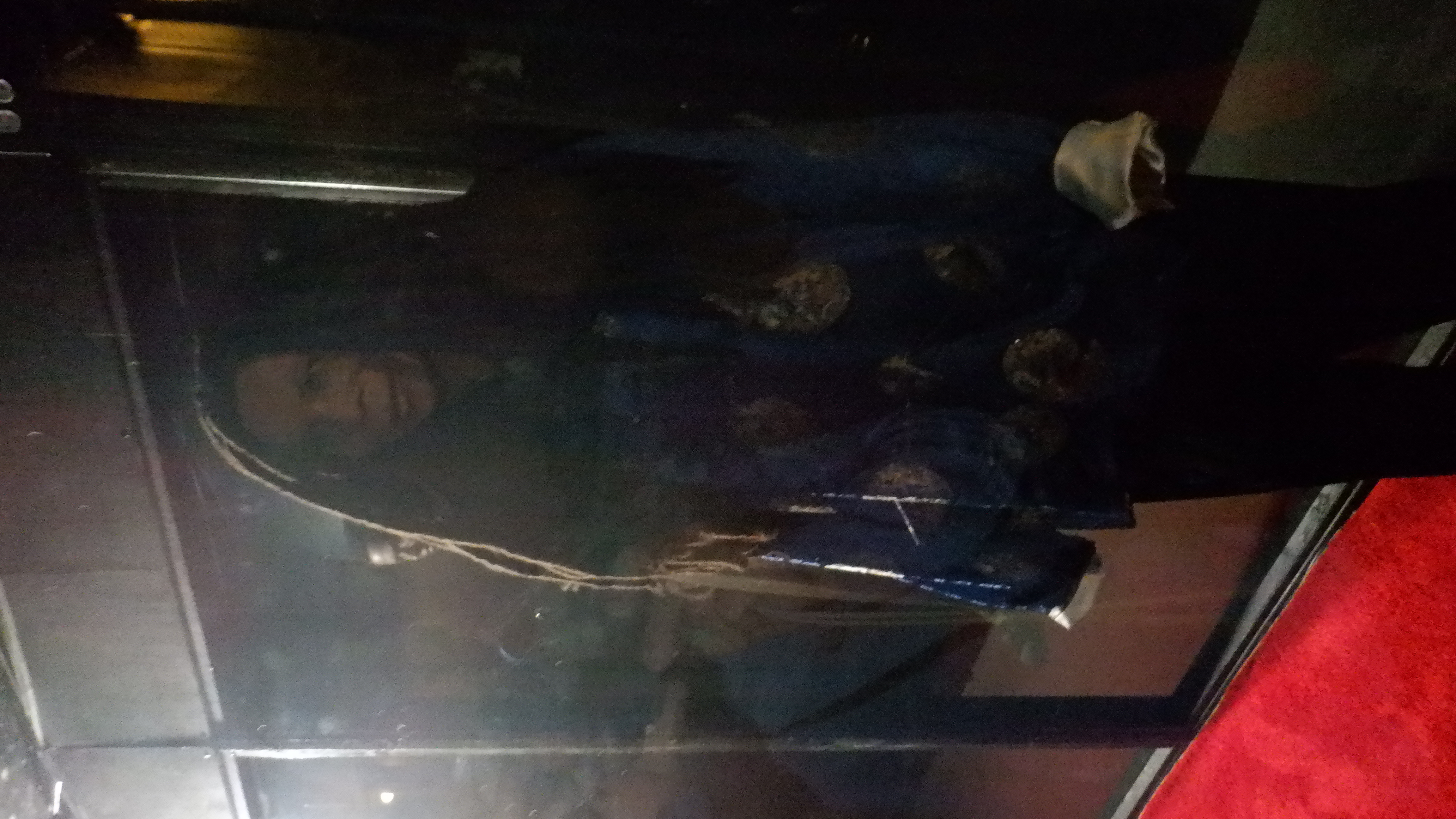 ./2022/06 - St Louis/06 - Day 6/20220526-161150300.JPG